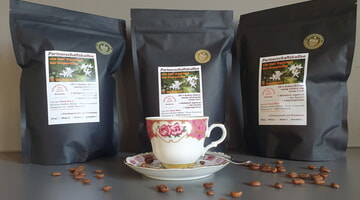 Partnerschaftskaffee aus Guatemala 